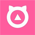 小猫宝盒app下载官网