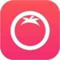 番茄直播社区app安卓