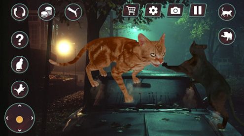 猫咪格斗战争模拟器_图片